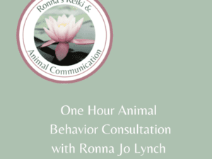 Animal Behavior Consultation poster in green color