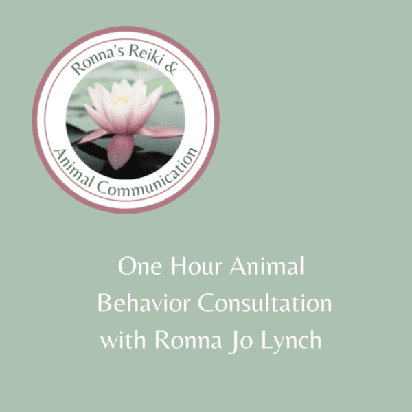 Animal Behavior Consultation poster in green color